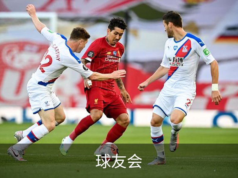 关于球友会