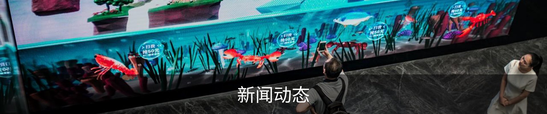 新闻动态